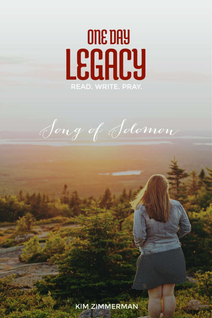 Cover of One Day Legacy by Kim Zimmerman